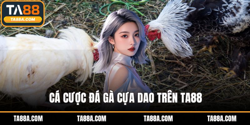 Cá cược đá gà cựa dao trên TA88