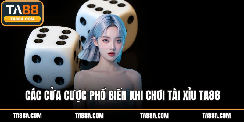 Các cửa cược phổ biến khi chơi Tài Xỉu TA88