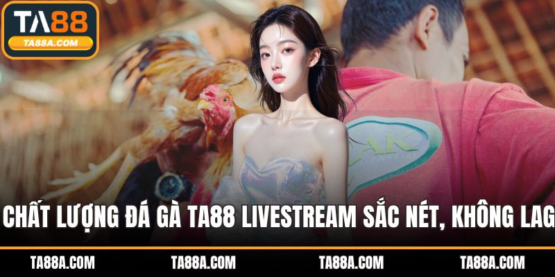Chất lượng đá gà TA88 livestream sắc nét, không lag