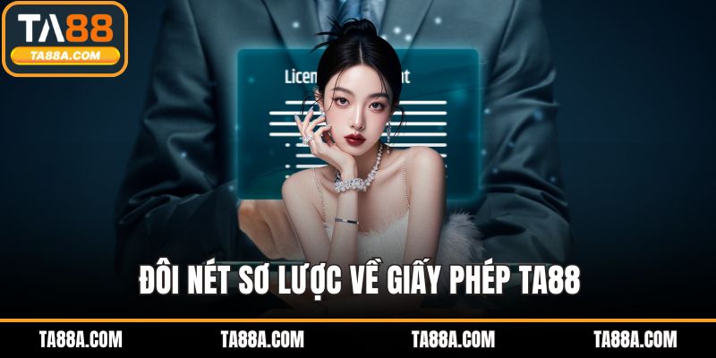 Đôi nét sơ lược về giấy phép TA88