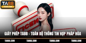 Giấy phép TA88