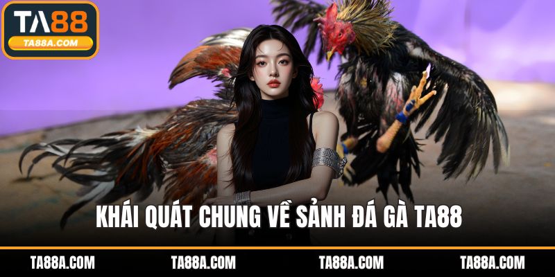 Khái quát chung về sảnh đá gà TA88
