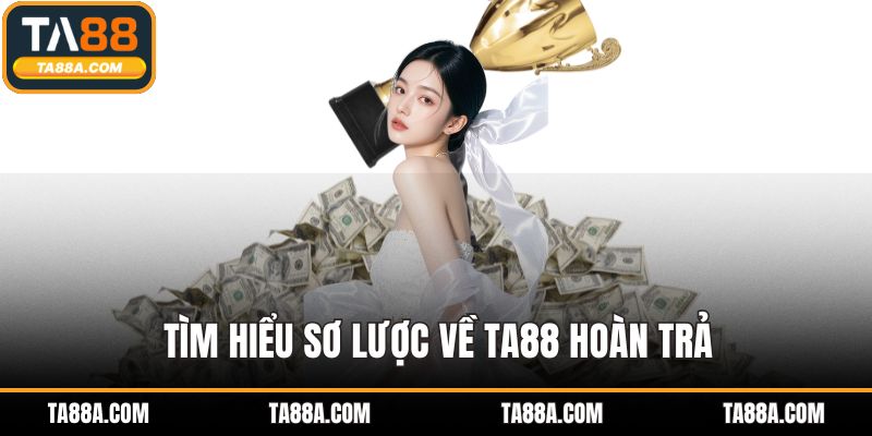 TA88 Hoàn Trả - Lợi Nhuận Đều Đặn Mỗi Ngày Mỗi Tuần 2 Tìm hiểu sơ lược về TA88 hoàn trả